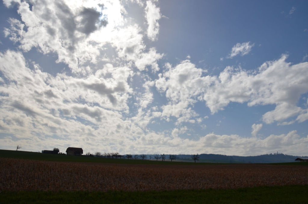 Fruehlingsstart-mit-dem-Toeff