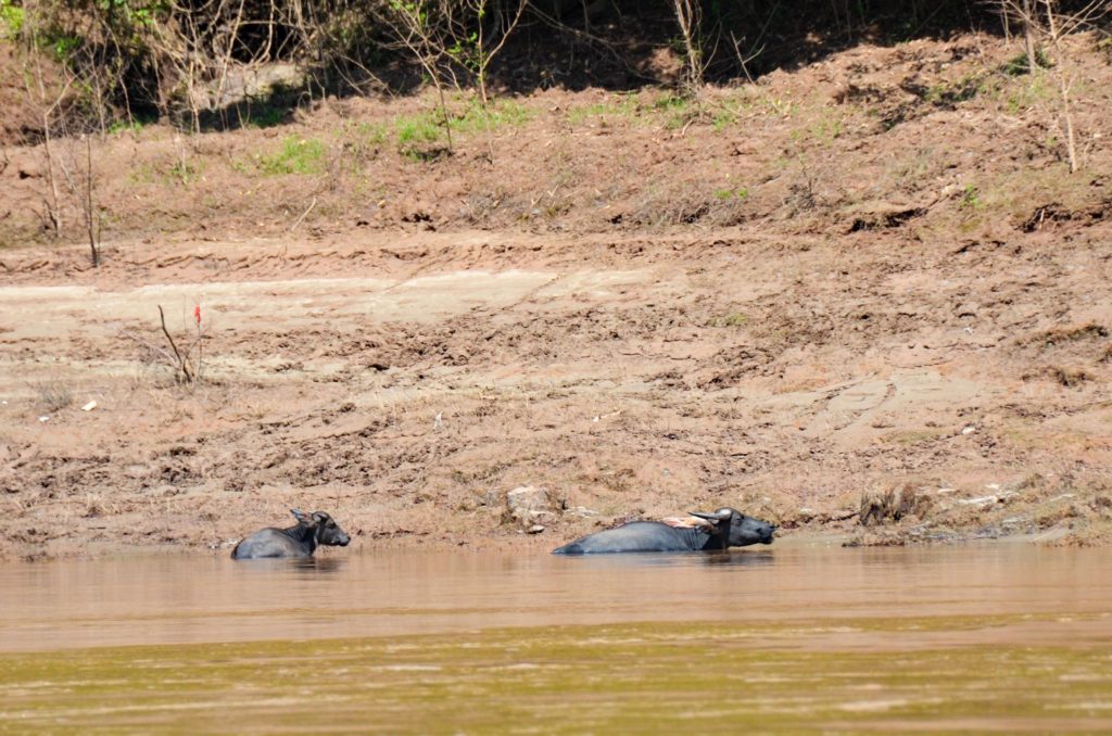 Laos 180927 013