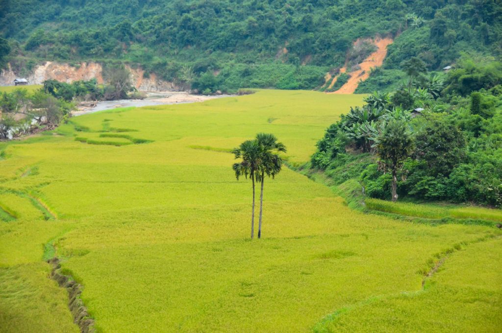 Laos 181002 016