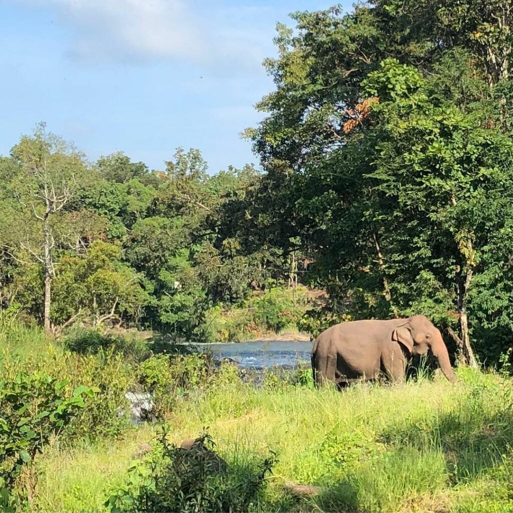 Okt 13, 2018 @ 13:42