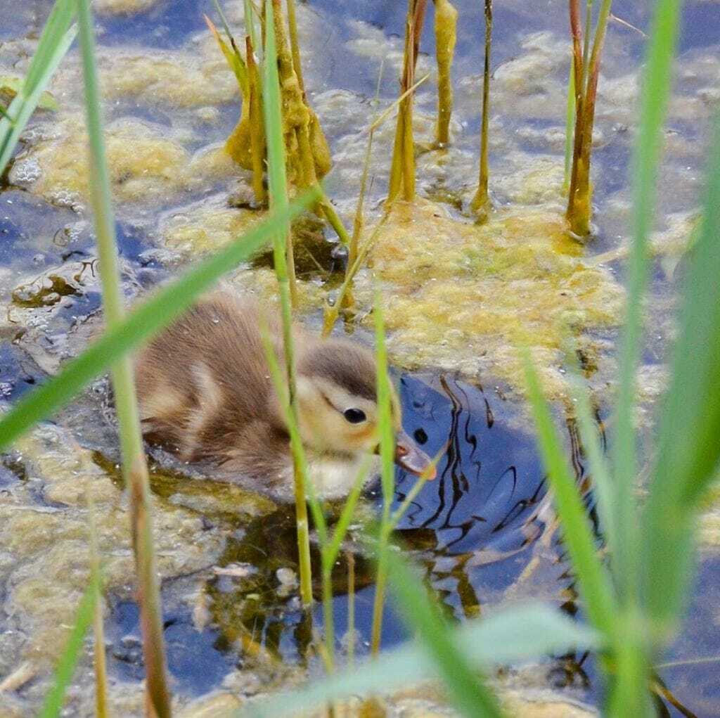 22. Juli 2019