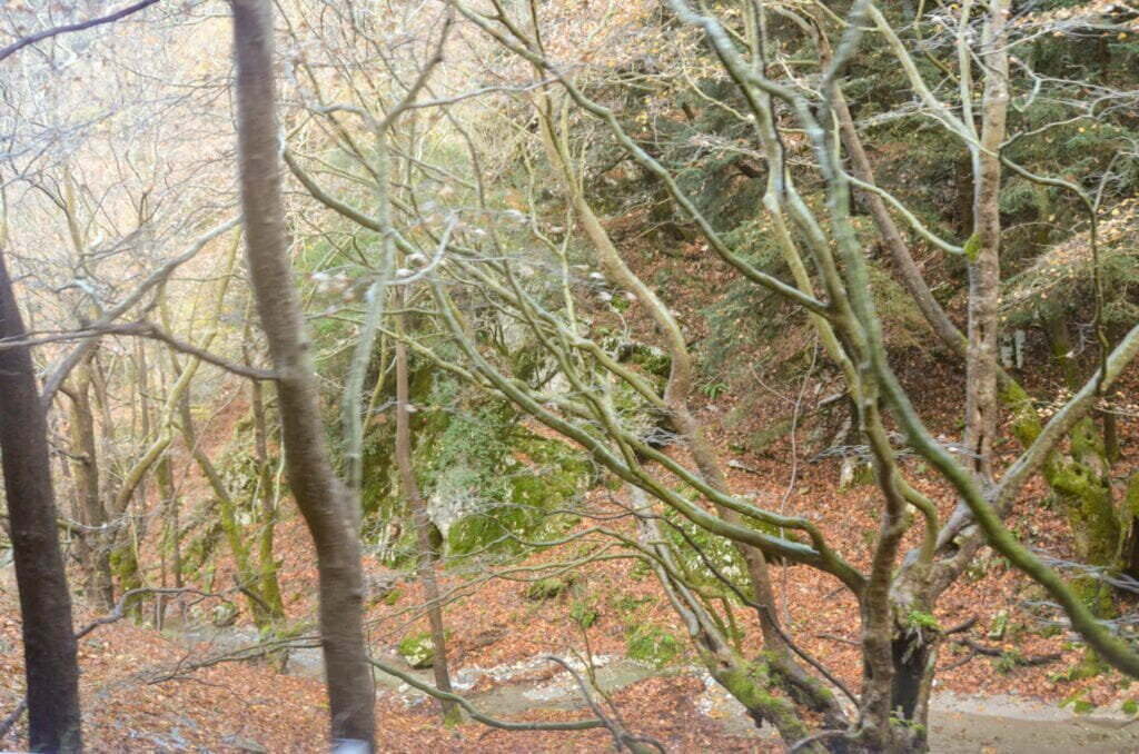 Leben-pur Griechenland Mani Heike und Gerhard Burch