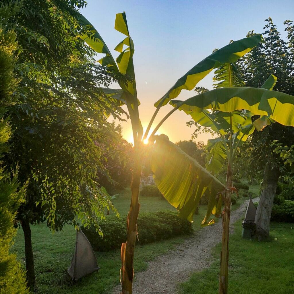 05. Juli 2021