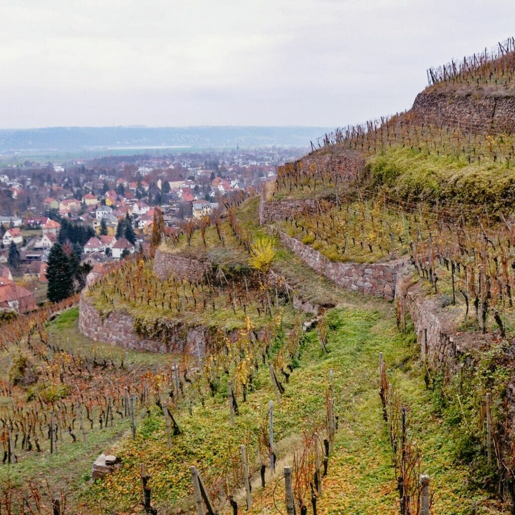 grosse reise tag 445 bin ich die einzige die den saechsischen dialekt rund um dresden so gern hoert