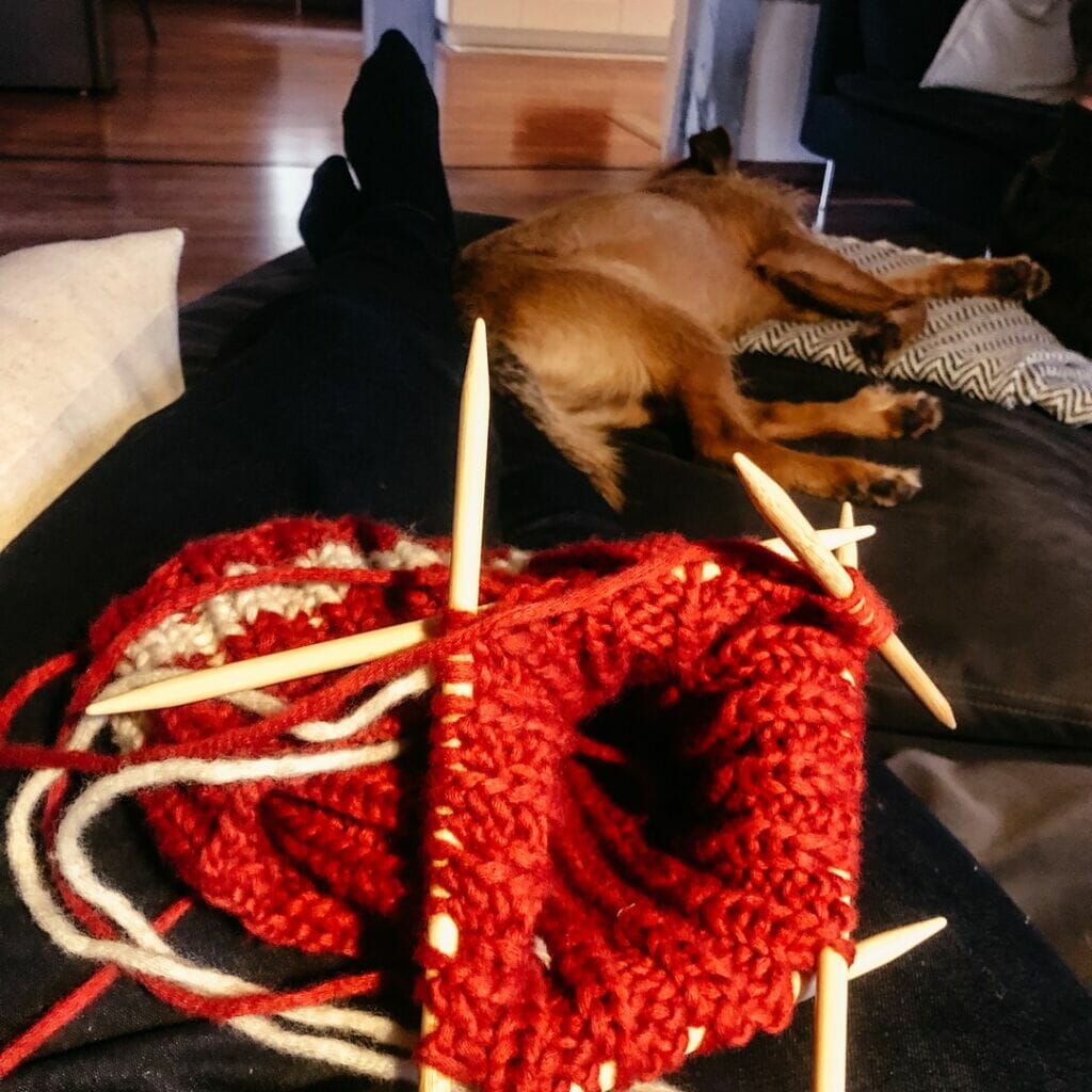 grosse reise tag 480 wir verbringen die festtage in familie. haetten wir uns nicht so vorgestellt. d