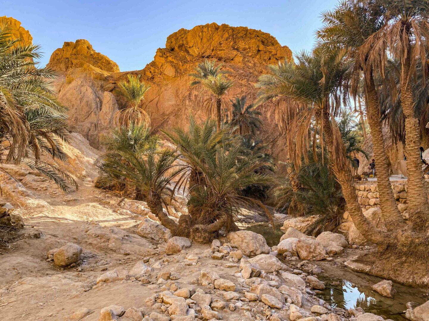 Tunisia - Chebika, the last mountain oasis before we head for the mountains