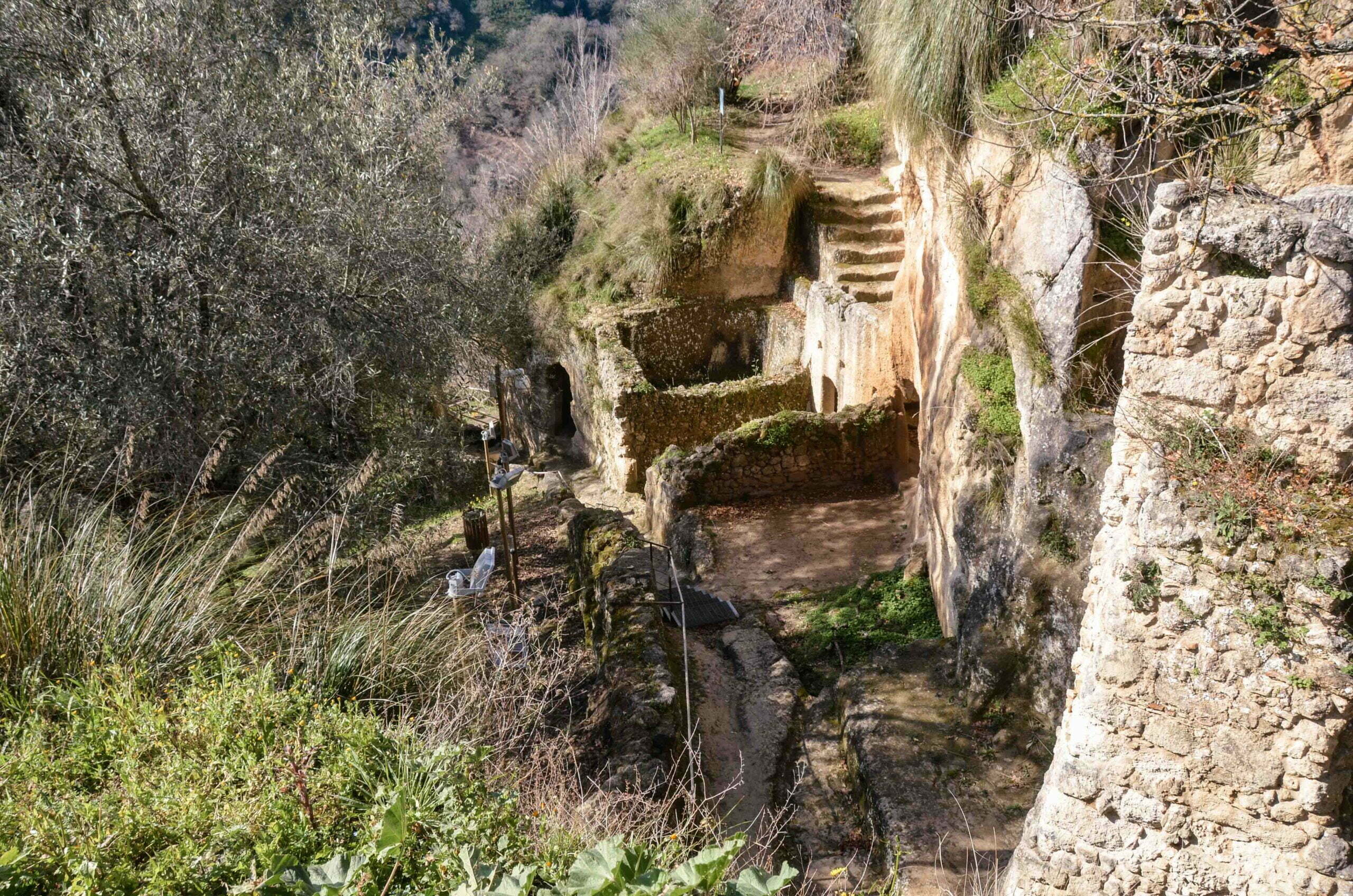 leben pur 230309 09 42 002