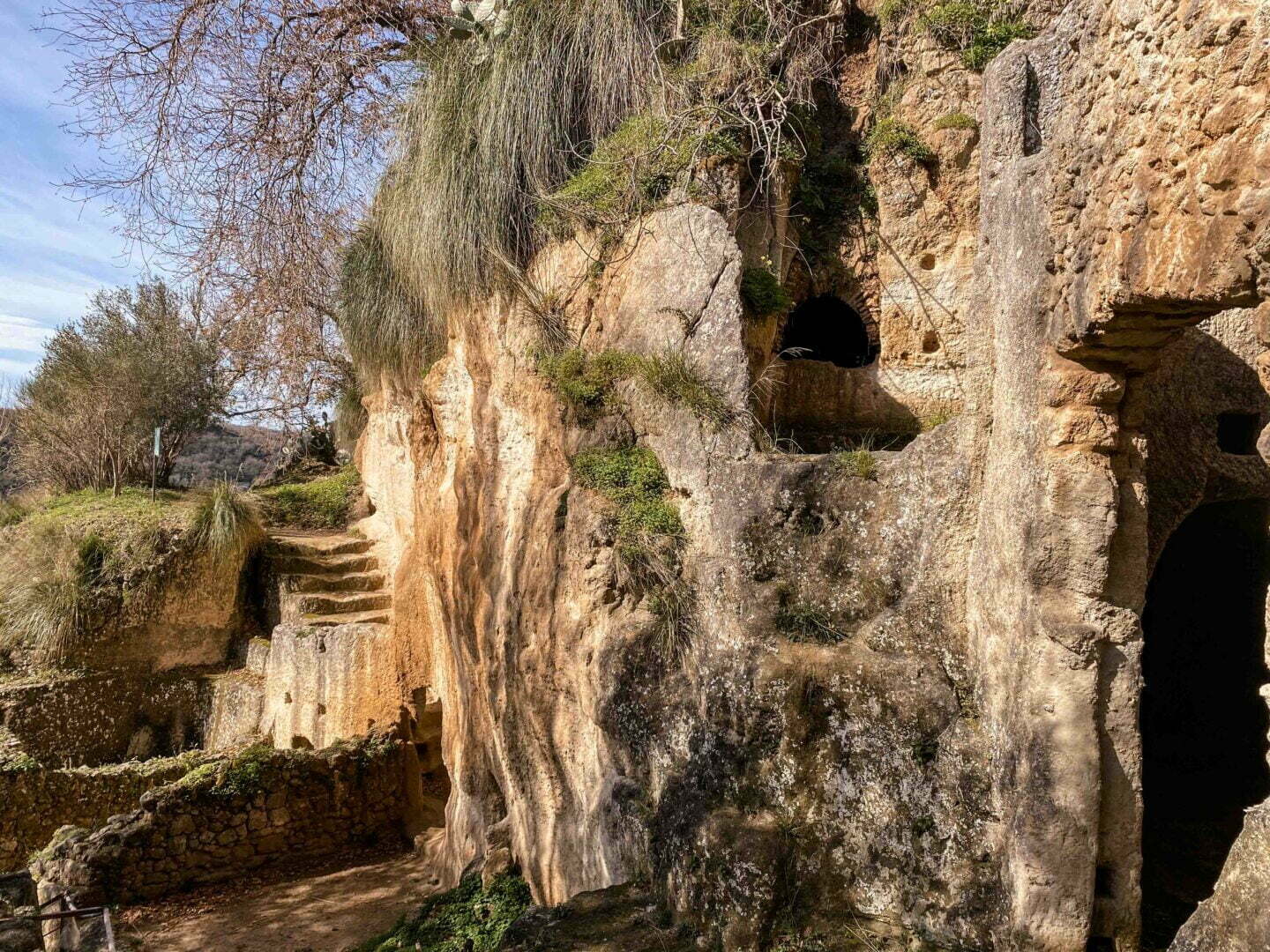 leben pur 230309 09 44 004