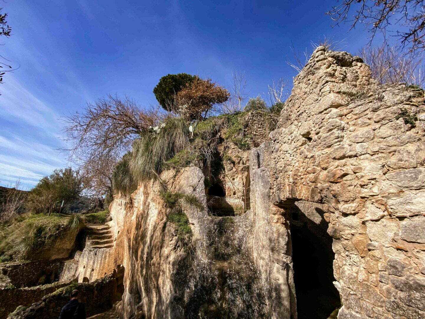 leben pur 230309 09 45 007