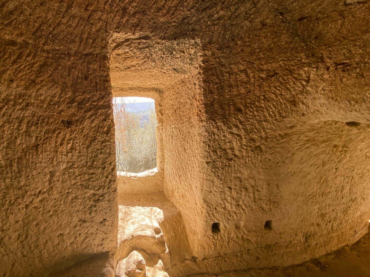 leben pur 230309 09 47 009