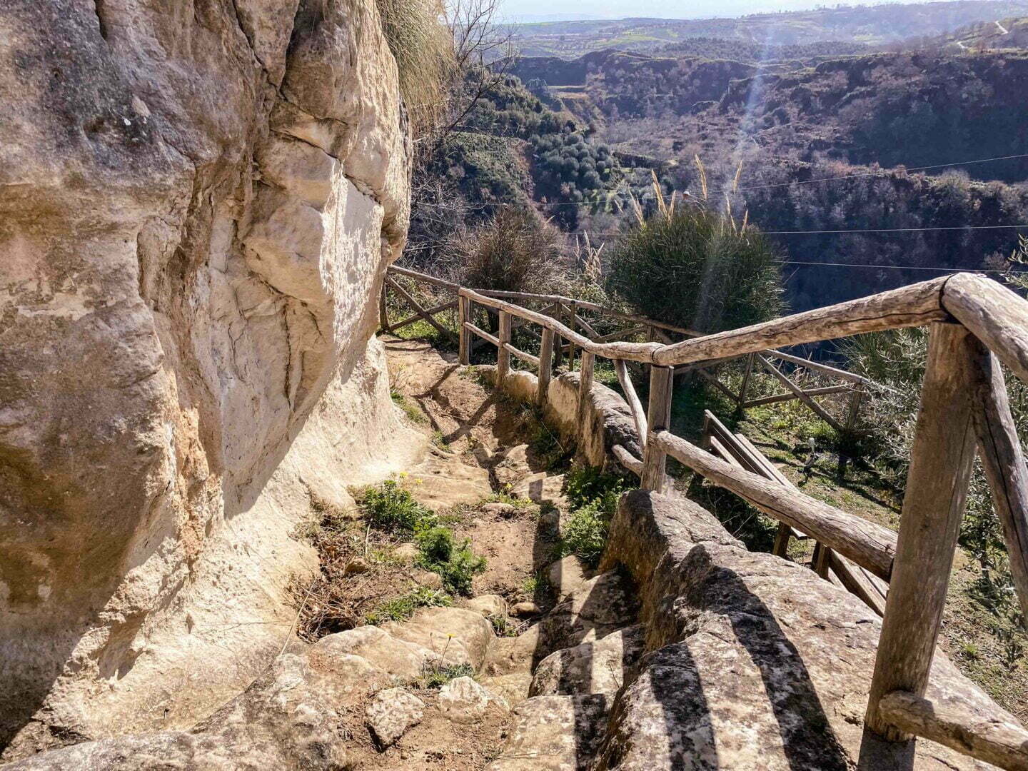 leben pur 230309 09 51 010