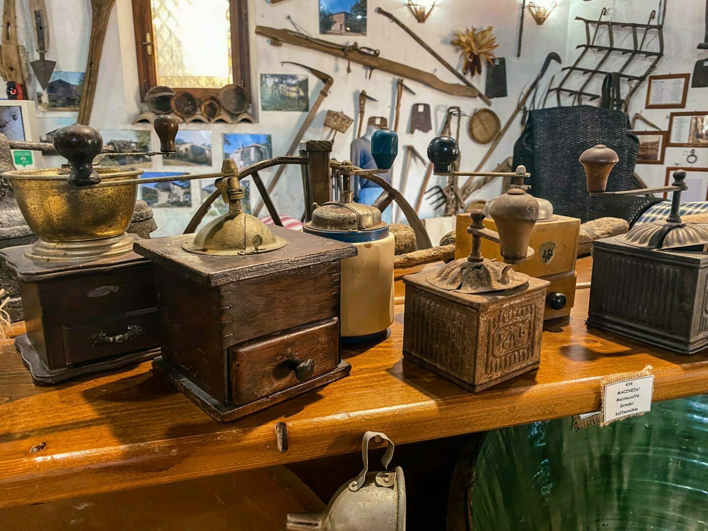 leben pur 230309 10 13 017