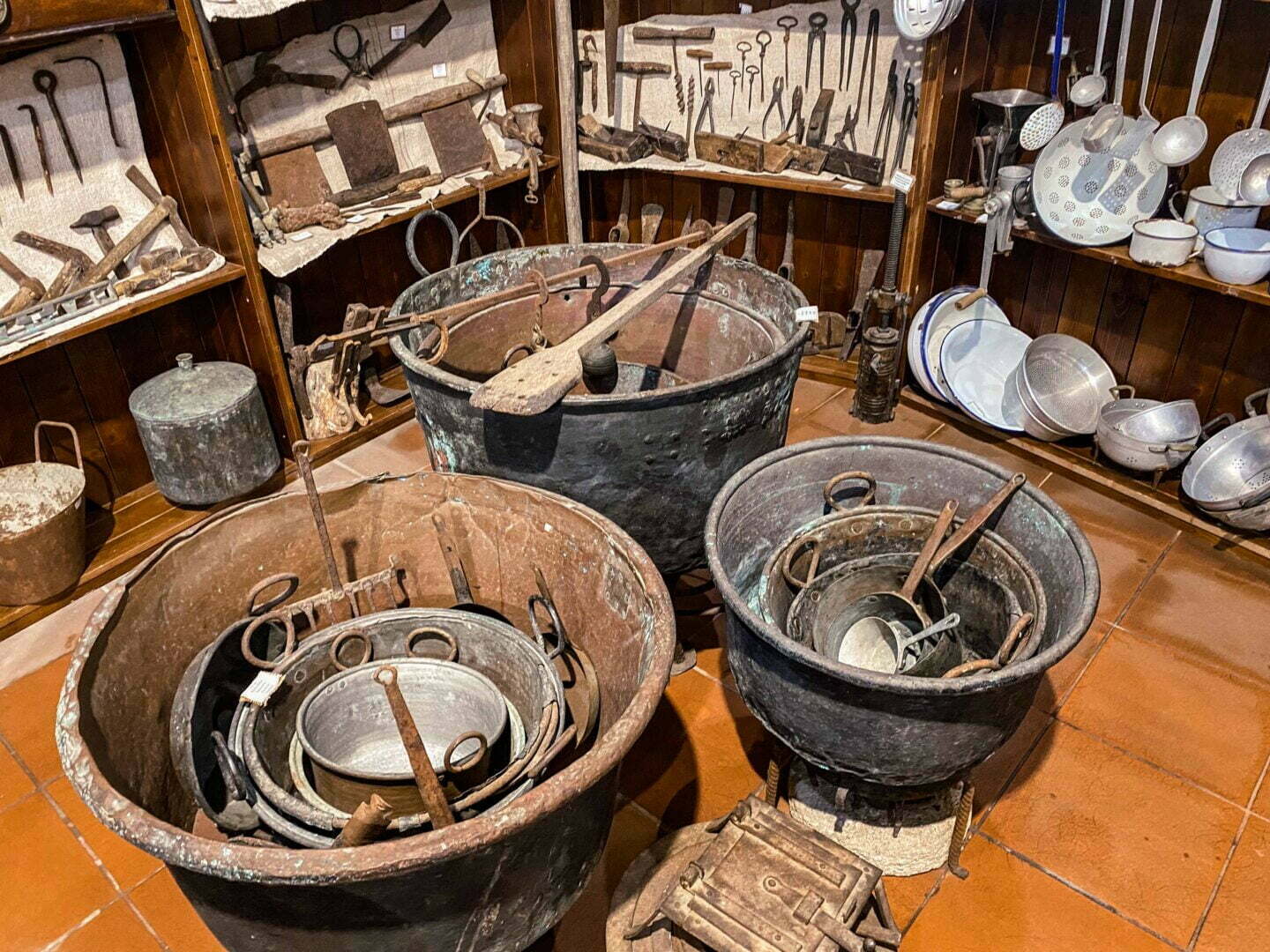 leben pur 230309 10 13 018