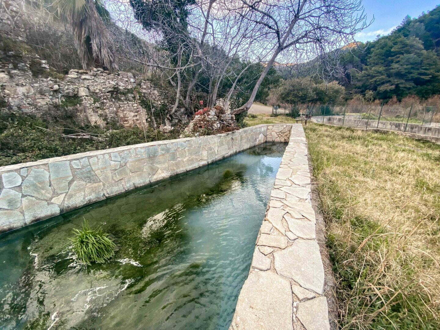 leben pur 230309 16 27 003