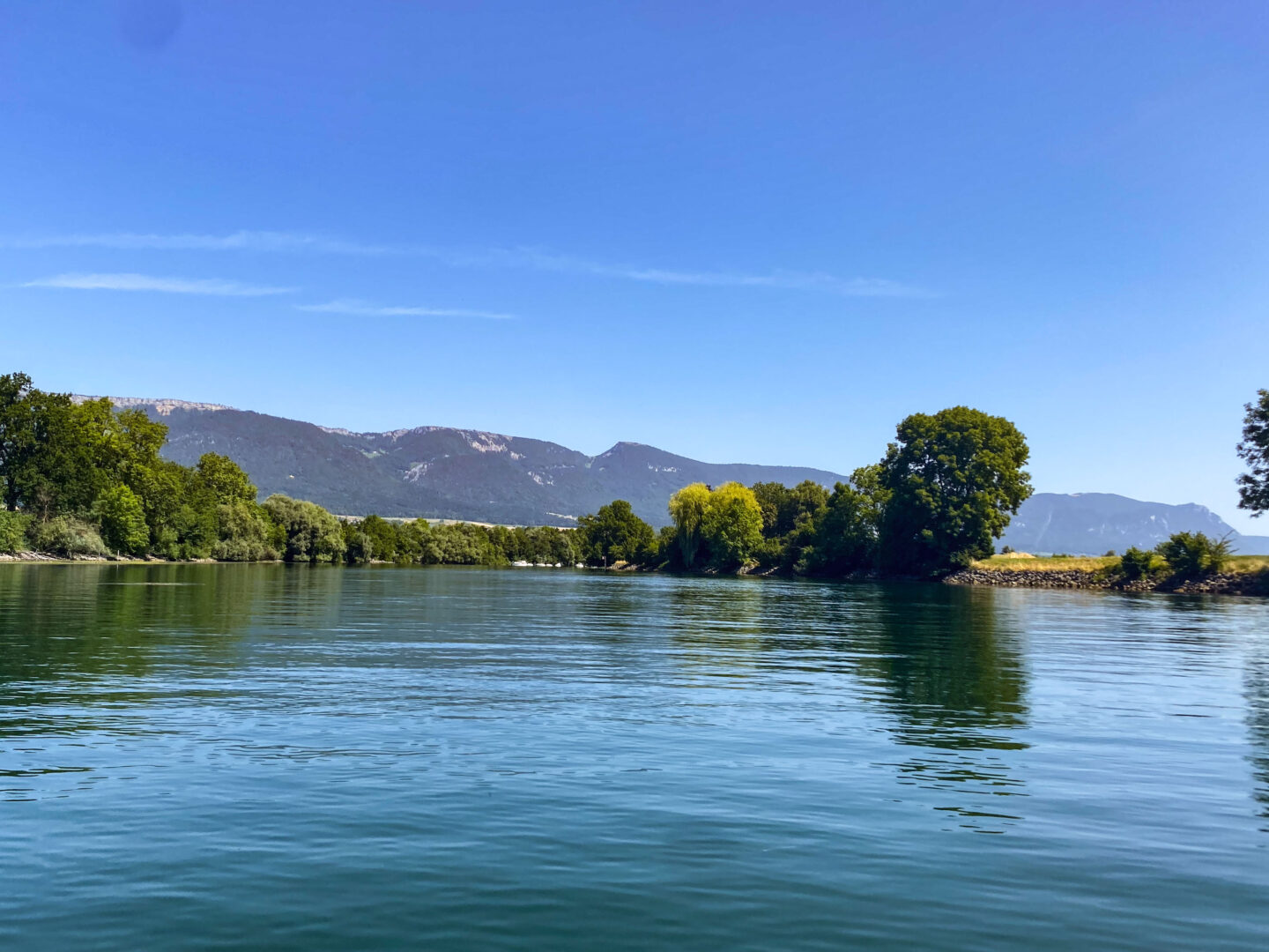 leben pur 230707 11 43 002