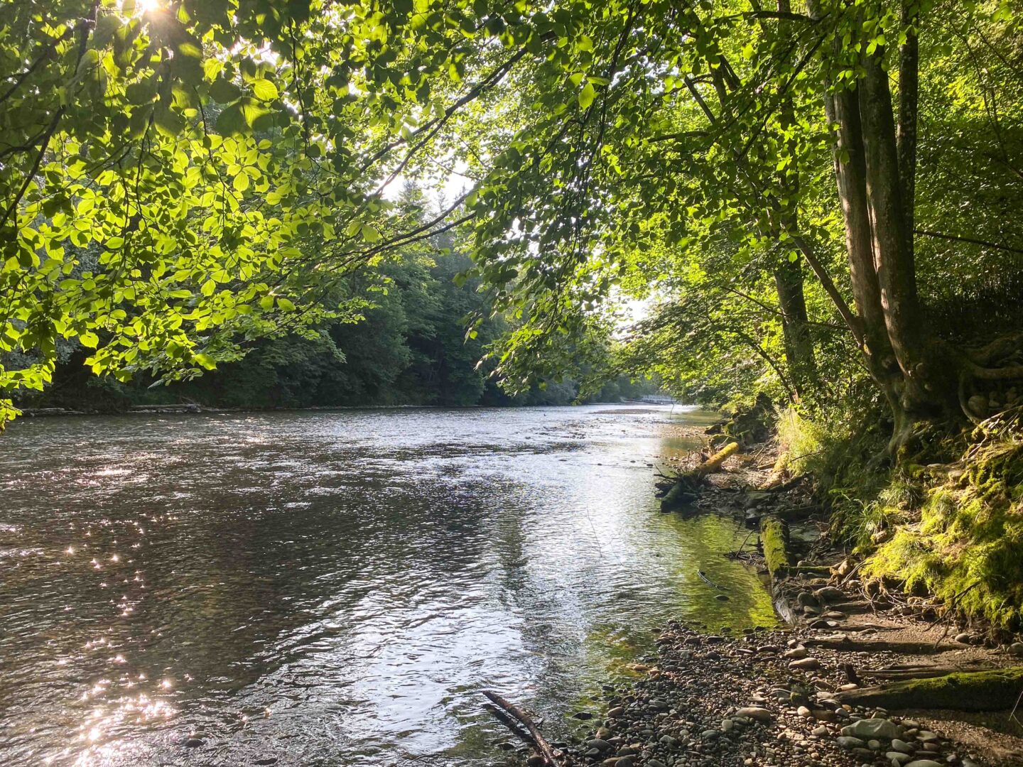 leben pur 230709 08 21 002