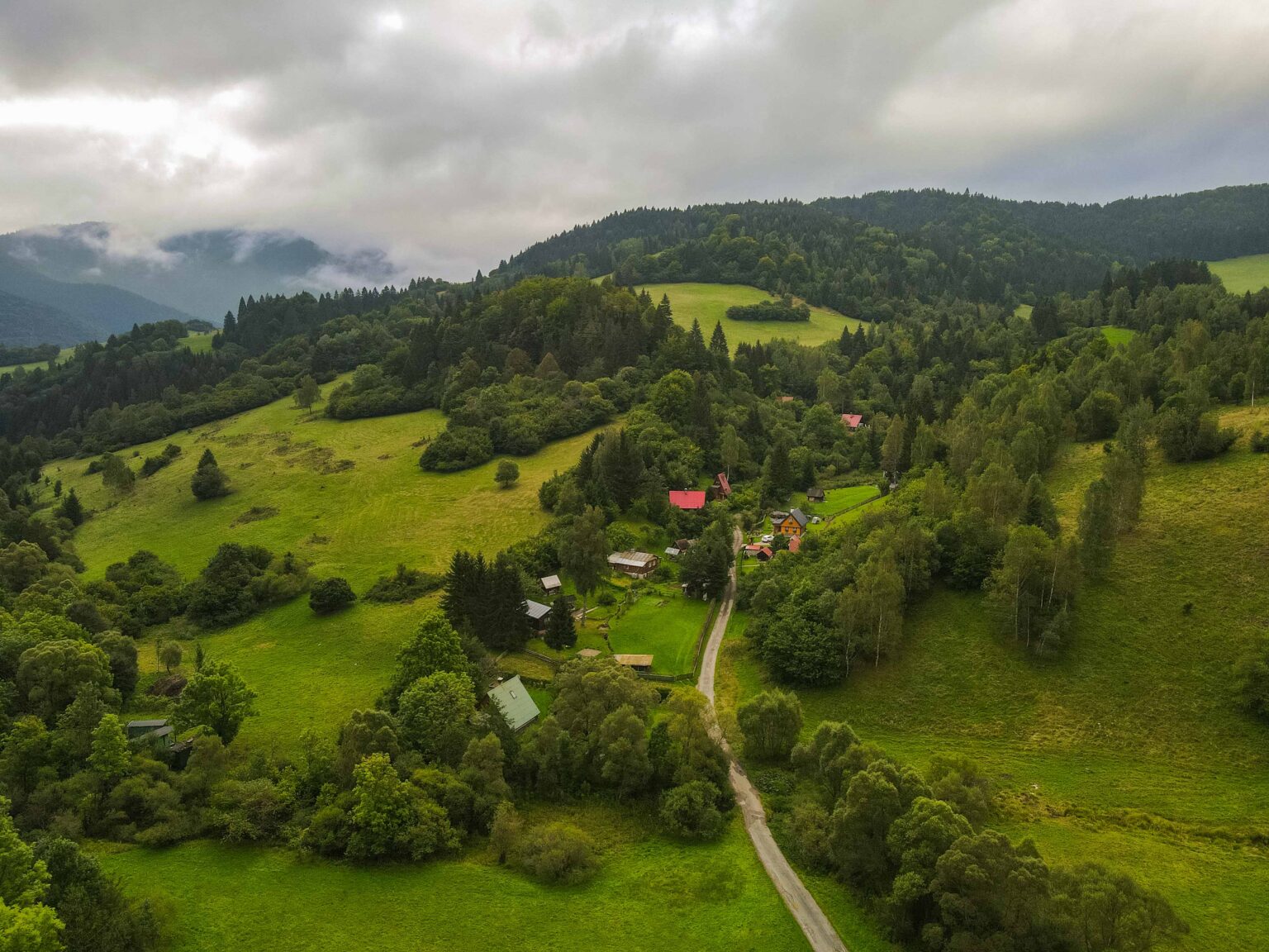 Slowakei Ein halbes Bärenabenteuer und das historische Museumsdorf