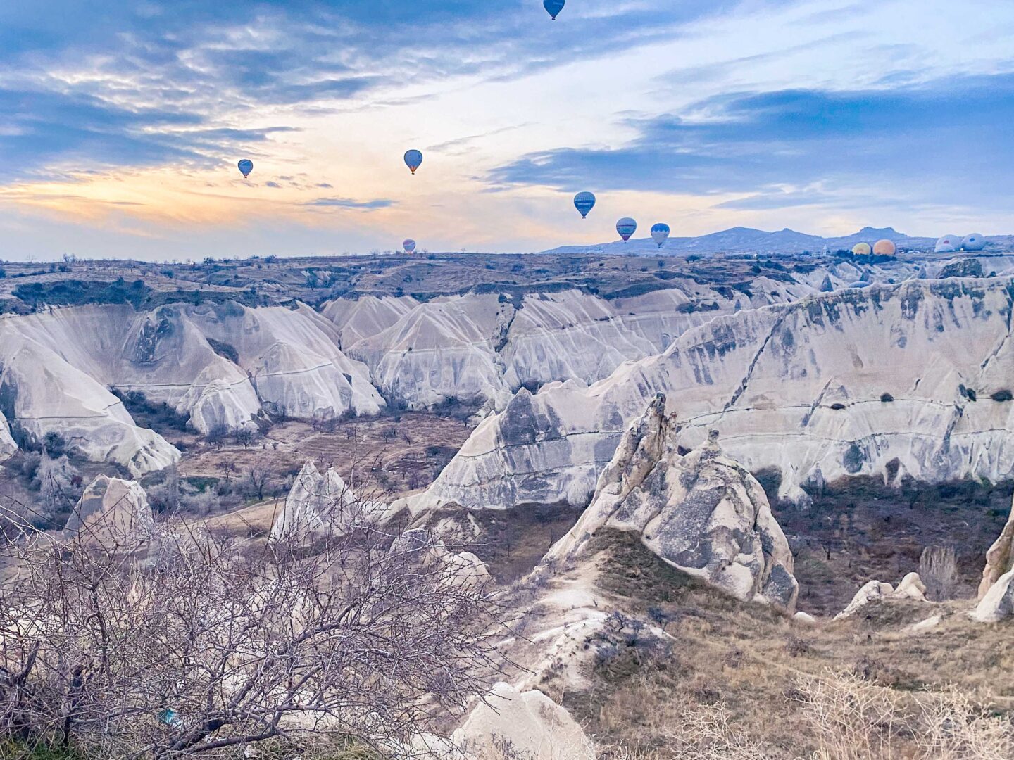 saf yaşam