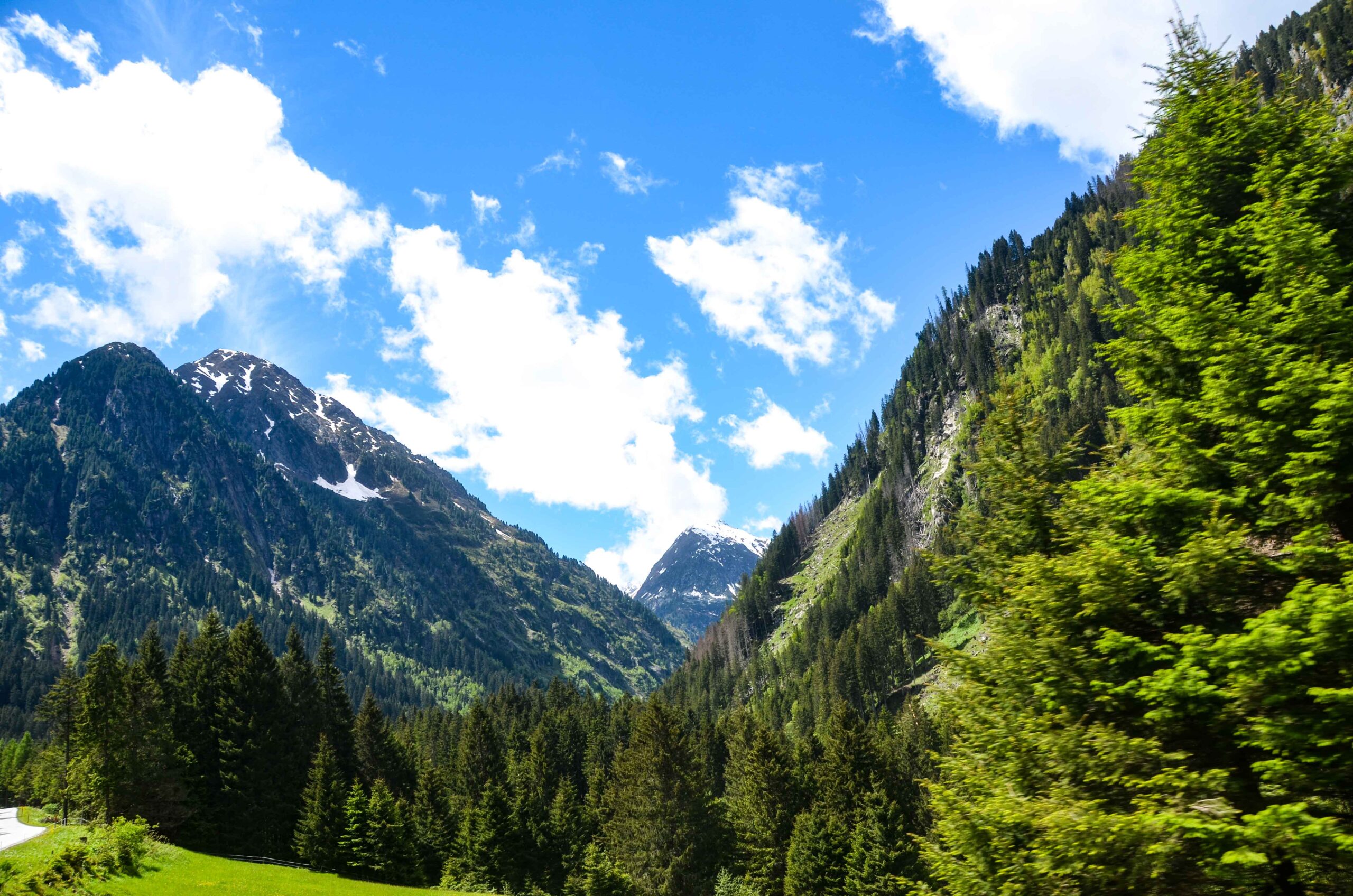 leben pur