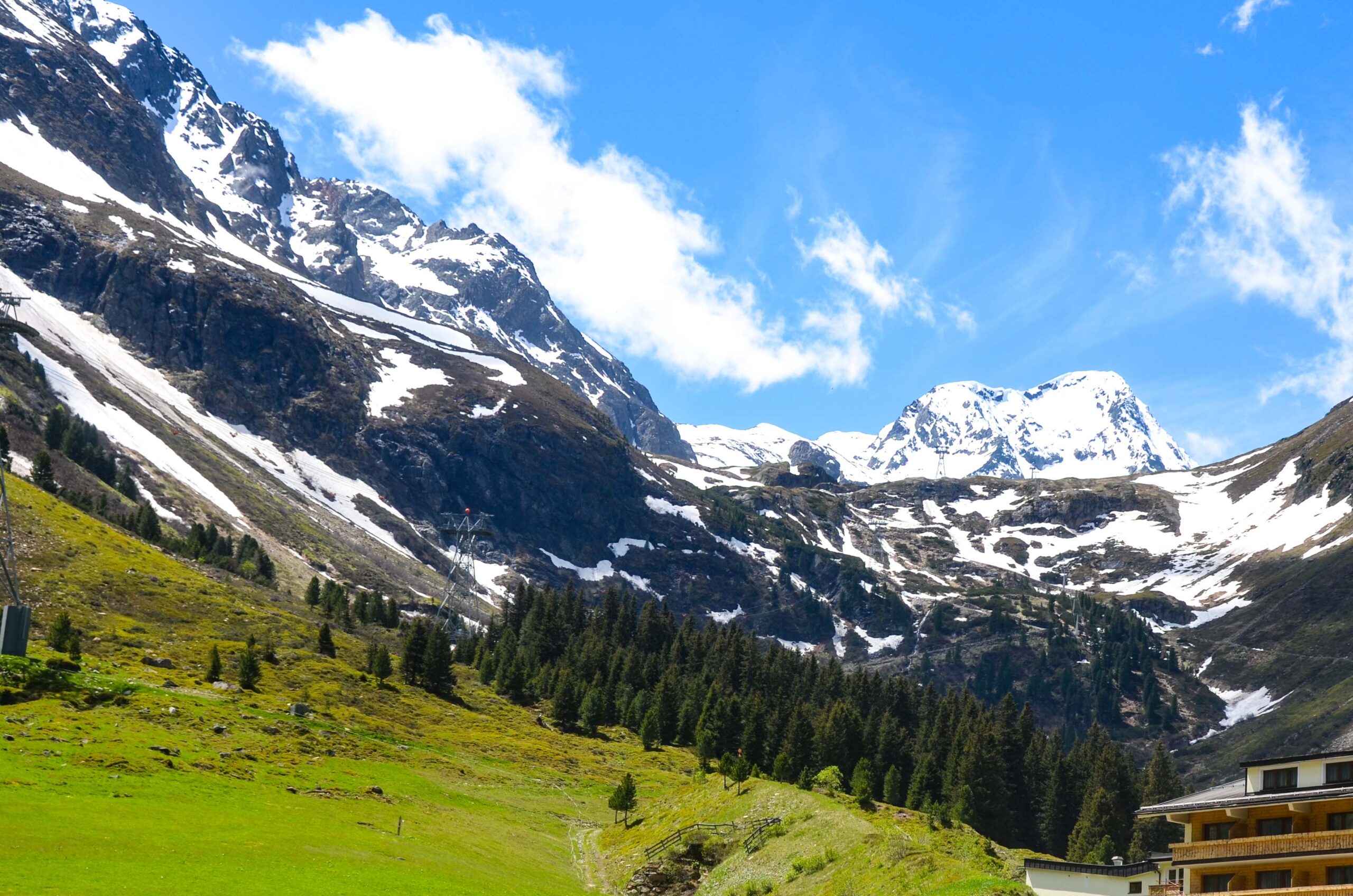 leben pur