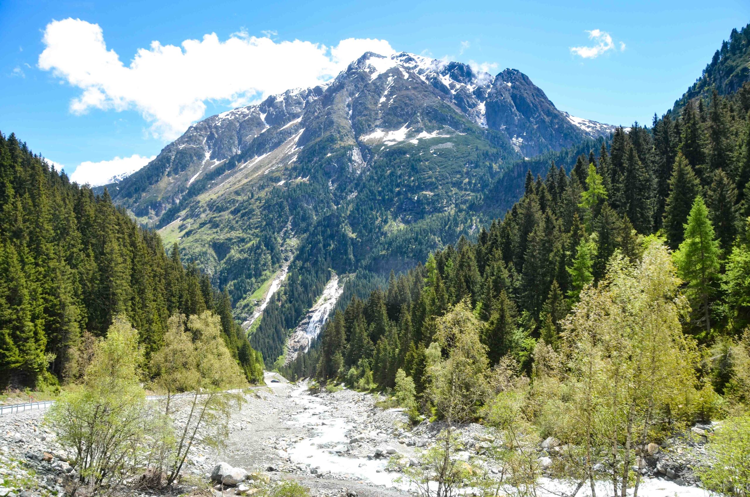 leben pur