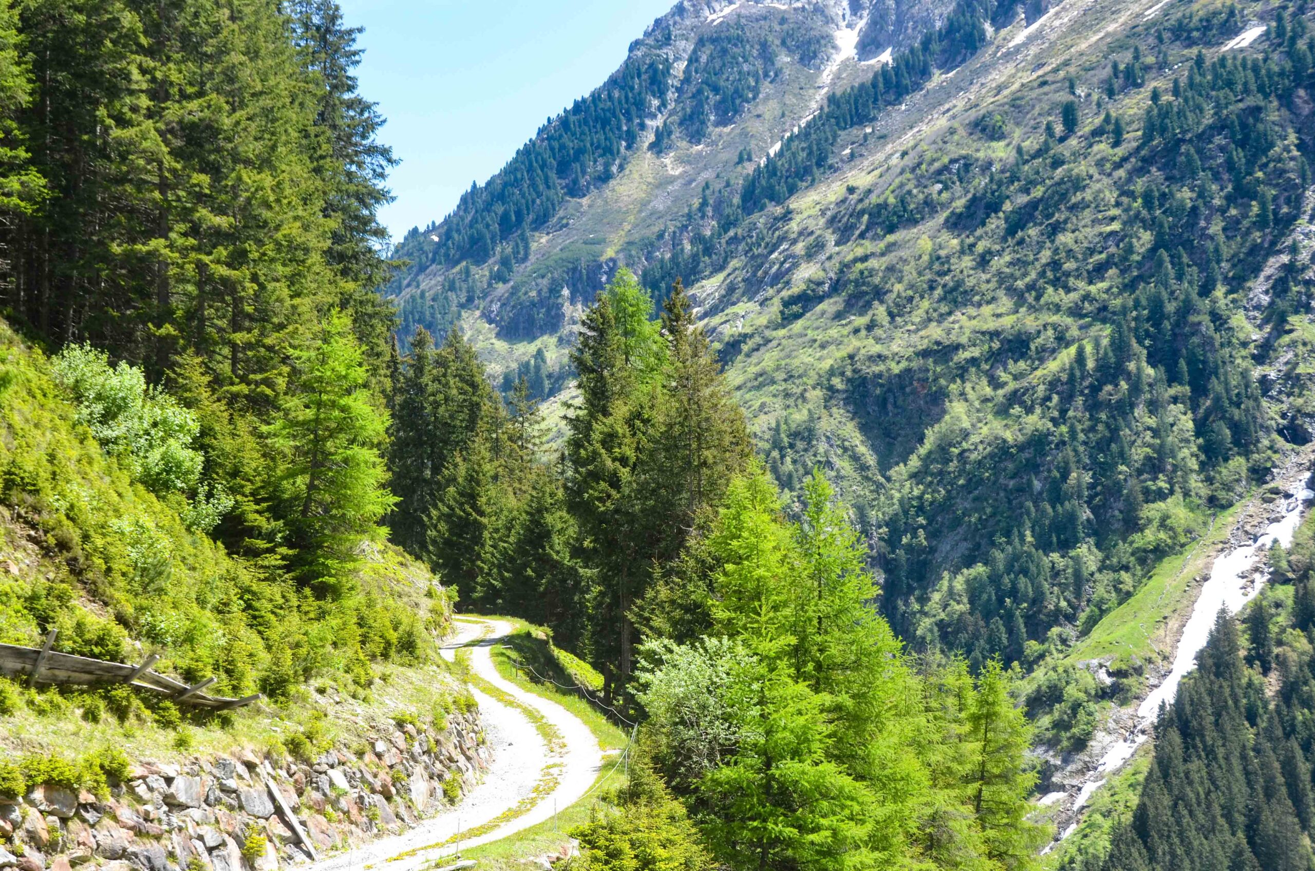 leben pur