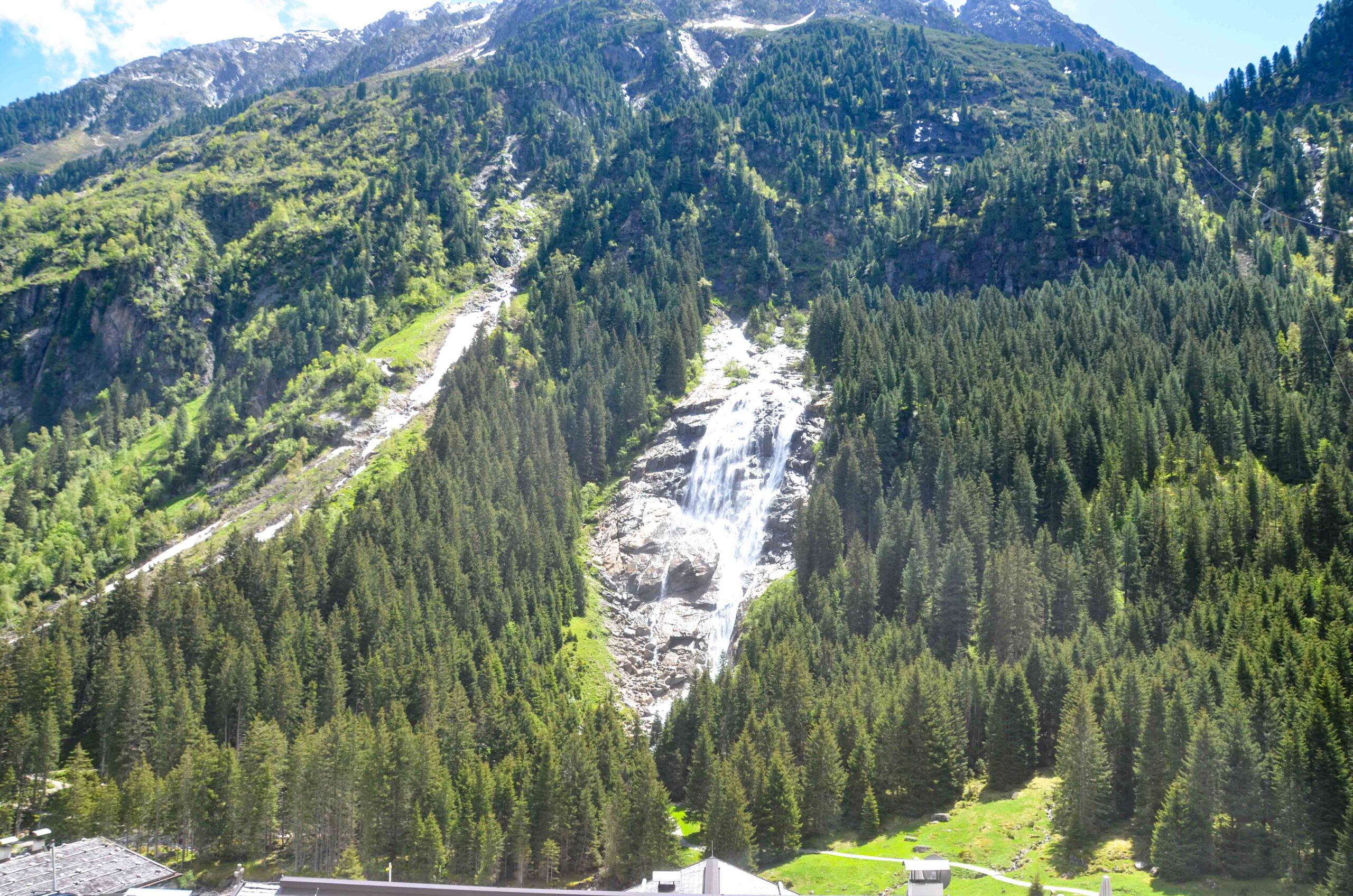leben pur