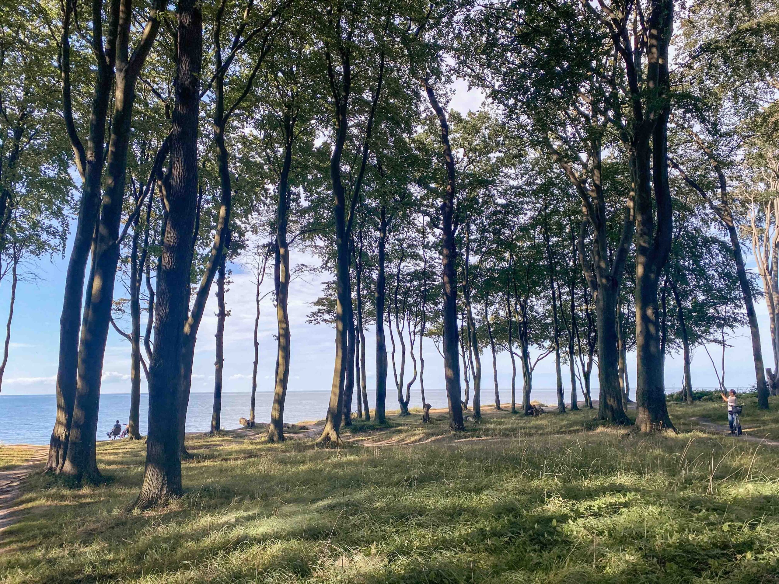 leben pur