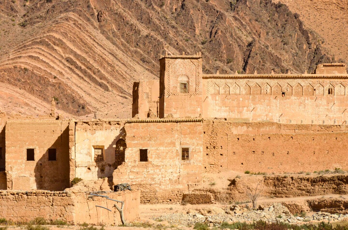 leben pur