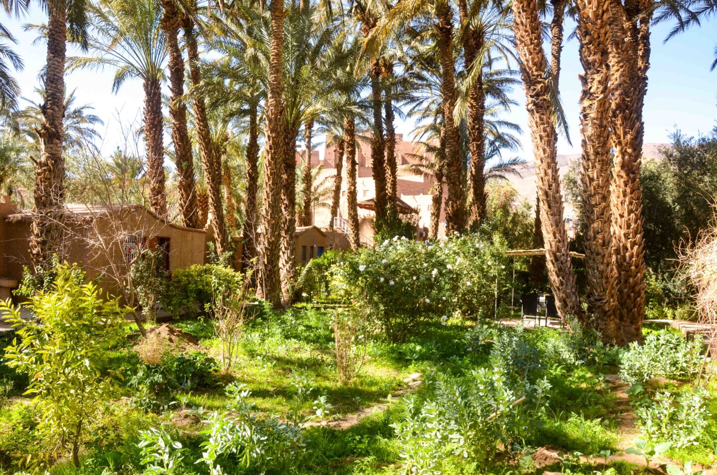 Marokko – Marokko – Das palmenübersäte Draa-Tal & Töpfereien aus Tamegroute