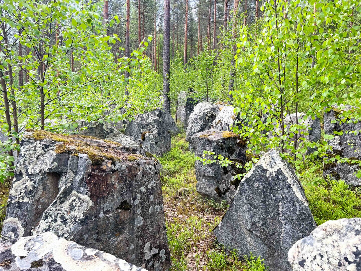 Finnland – Der Winterkrieg 1939/1940 – Finnlands Kampf ums Überleben