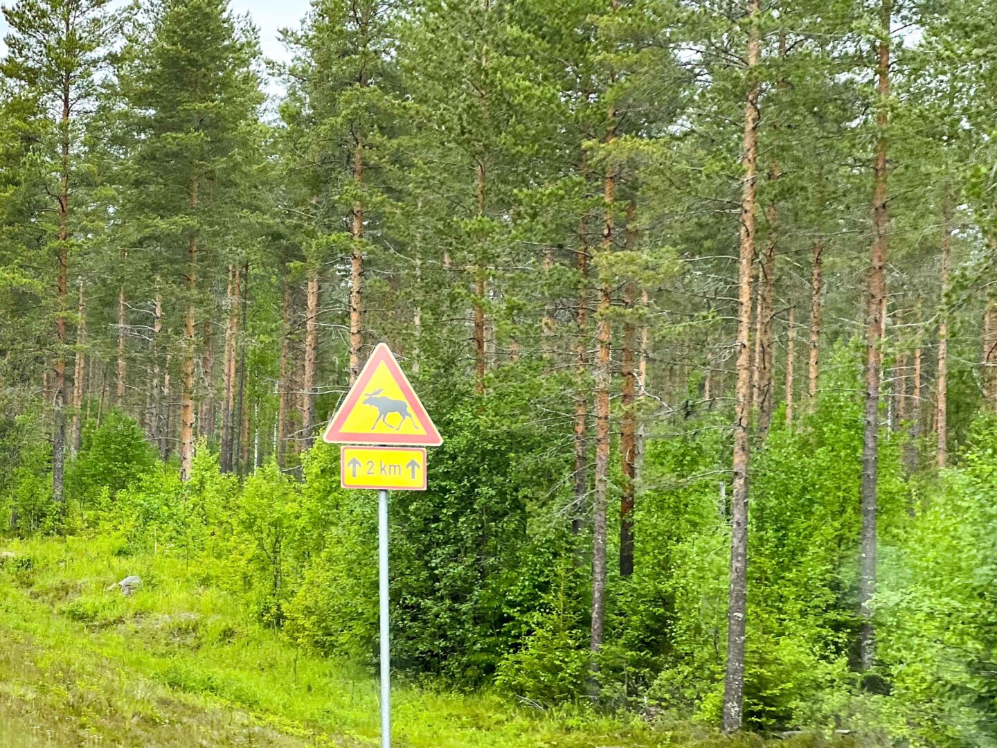 Finnland – Beobachtungen, Teil 6