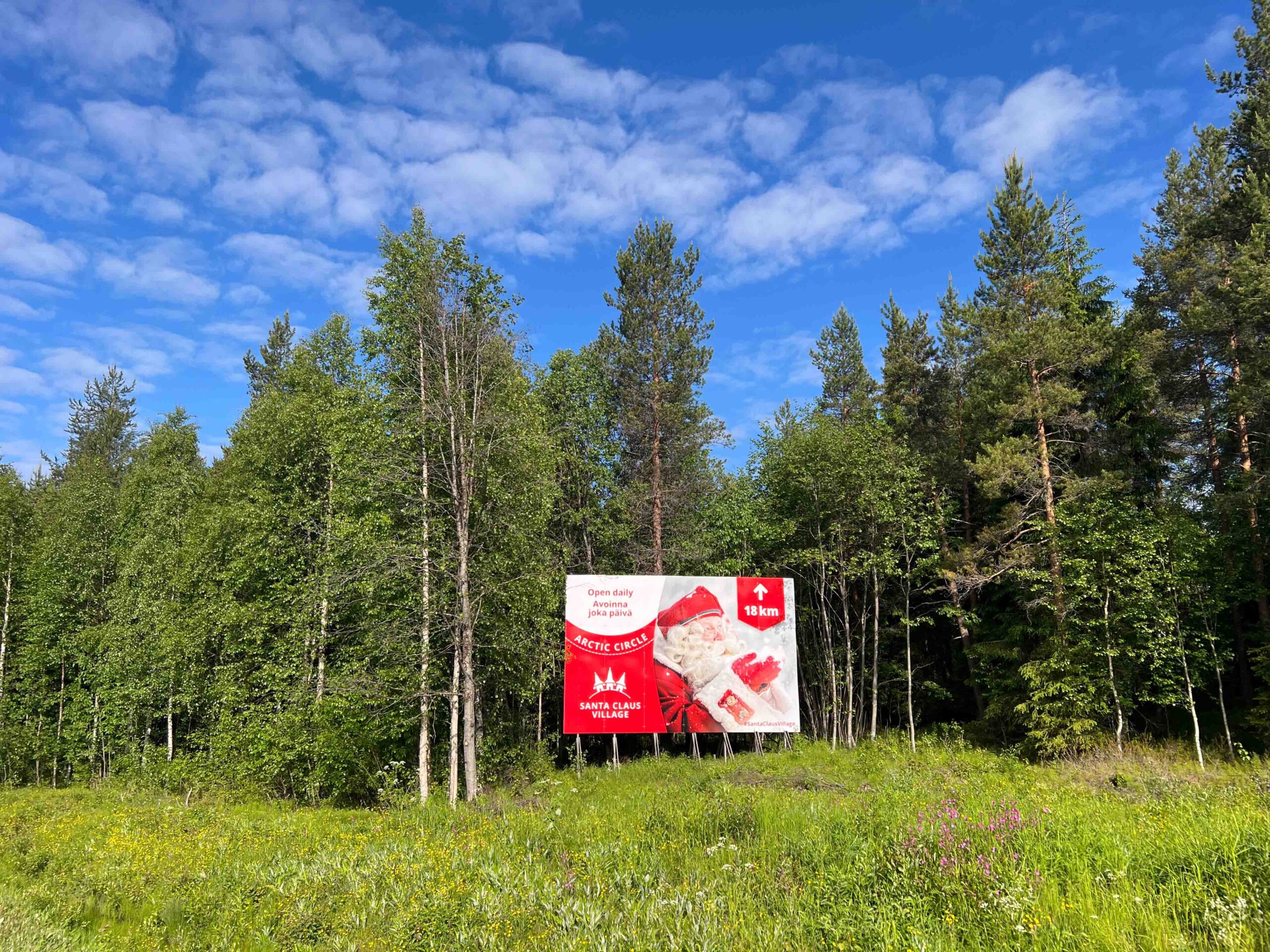 leben pur