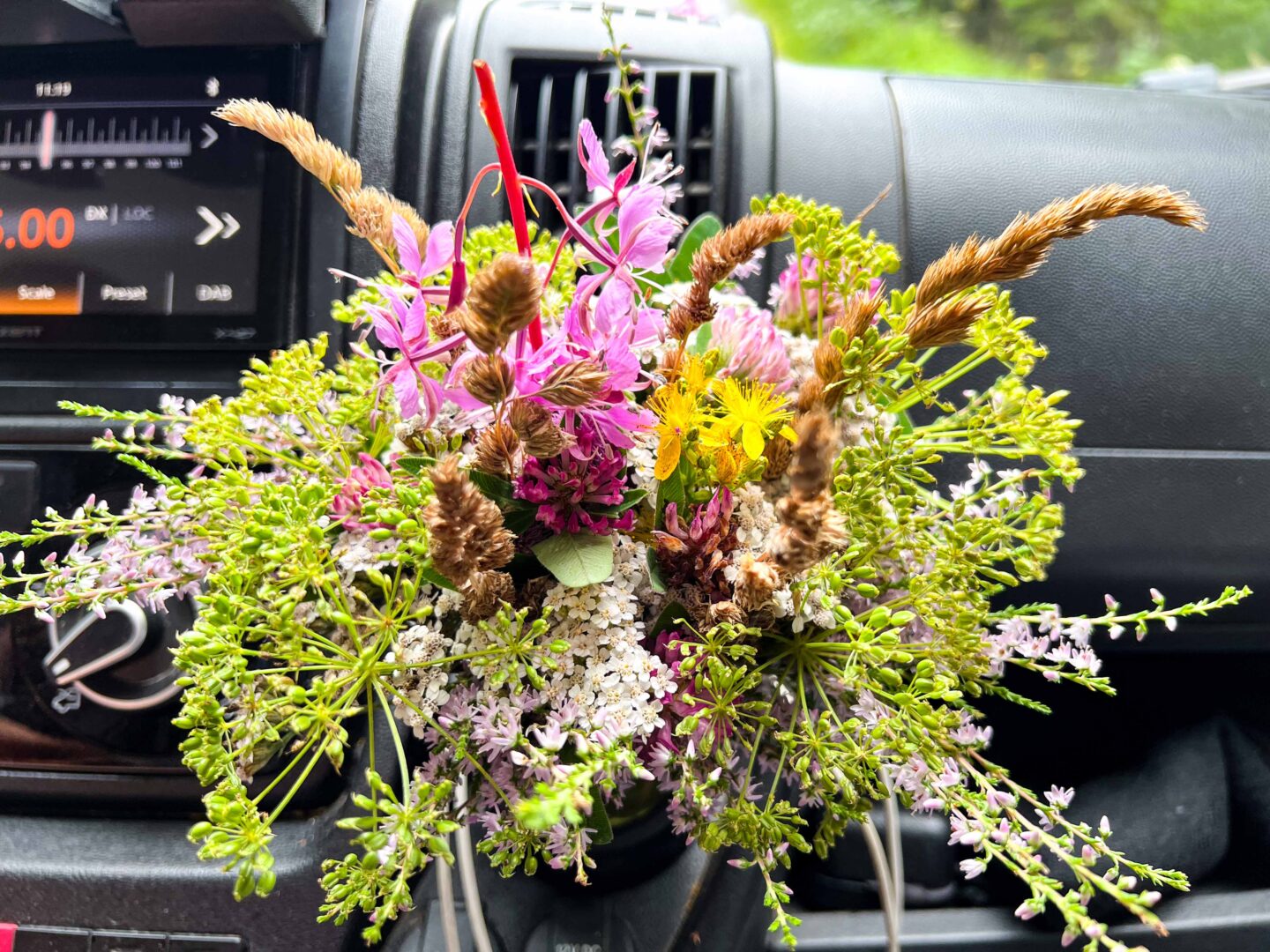 Leben unterwegs – Unsere Reiseweisheiten (oder so ähnlich)