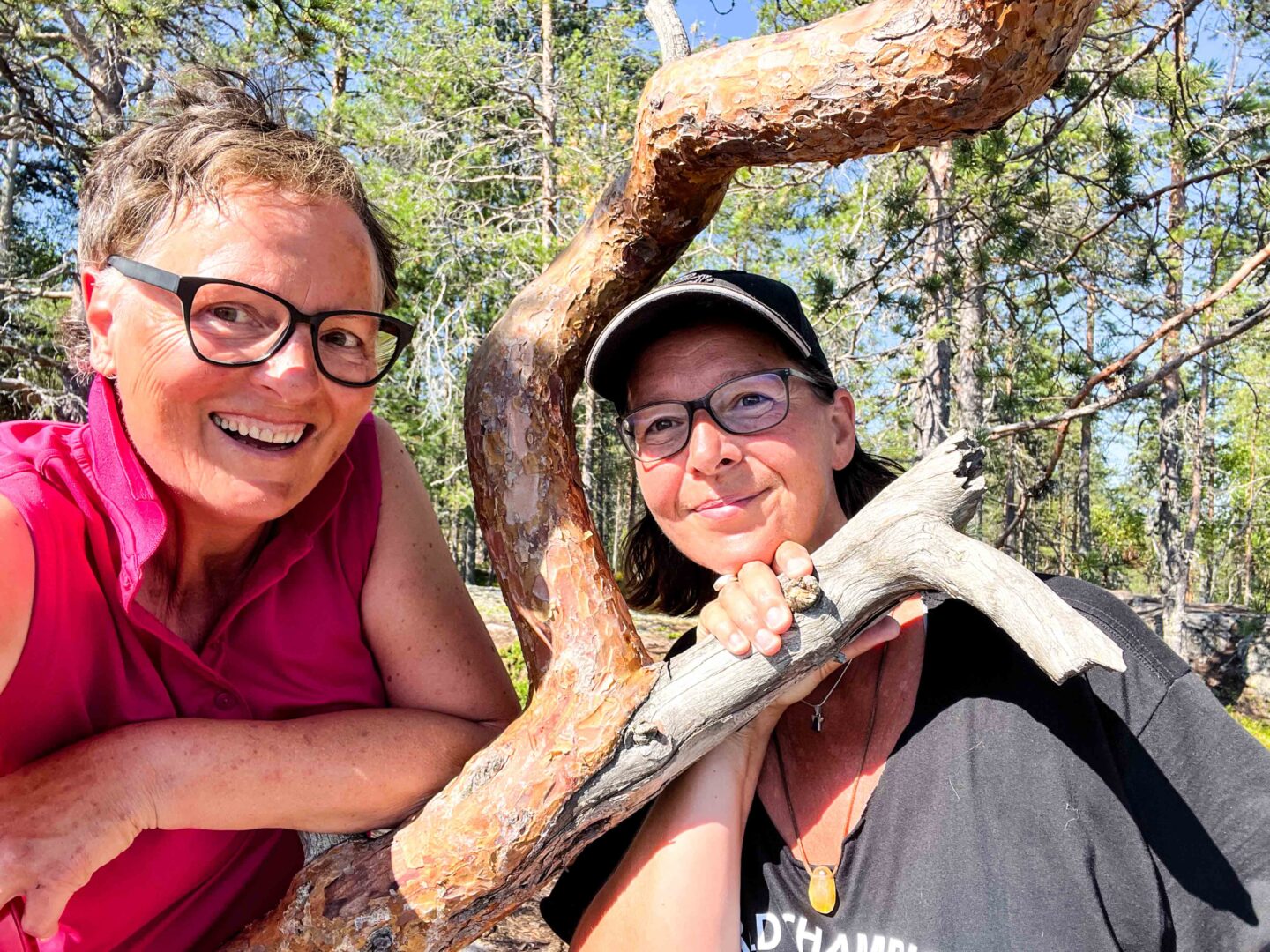 Finnland – Saimaa-Robbenpfad: Wandern und Blaubeeren und Heilung im Grünen