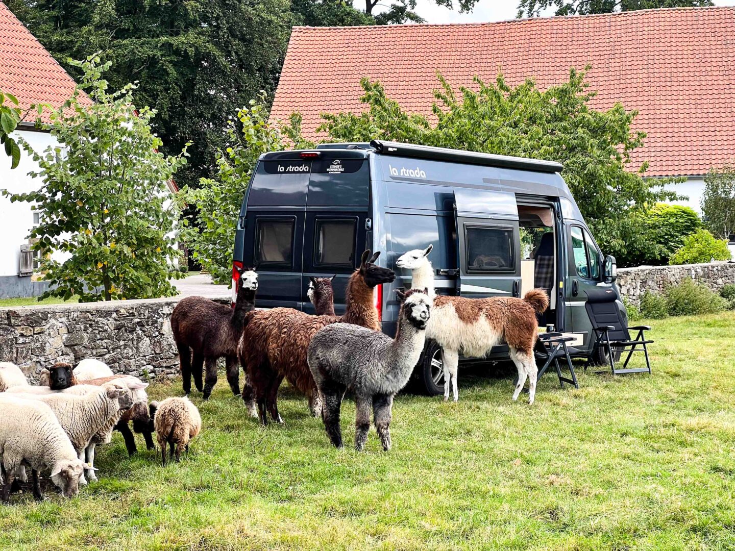 Hof & Hubraum in Osnabrück – Gemeinschaft, Dankbarkeit und Abenteuerlust: Ein Rückblick auf das Globetrotter-Treffen