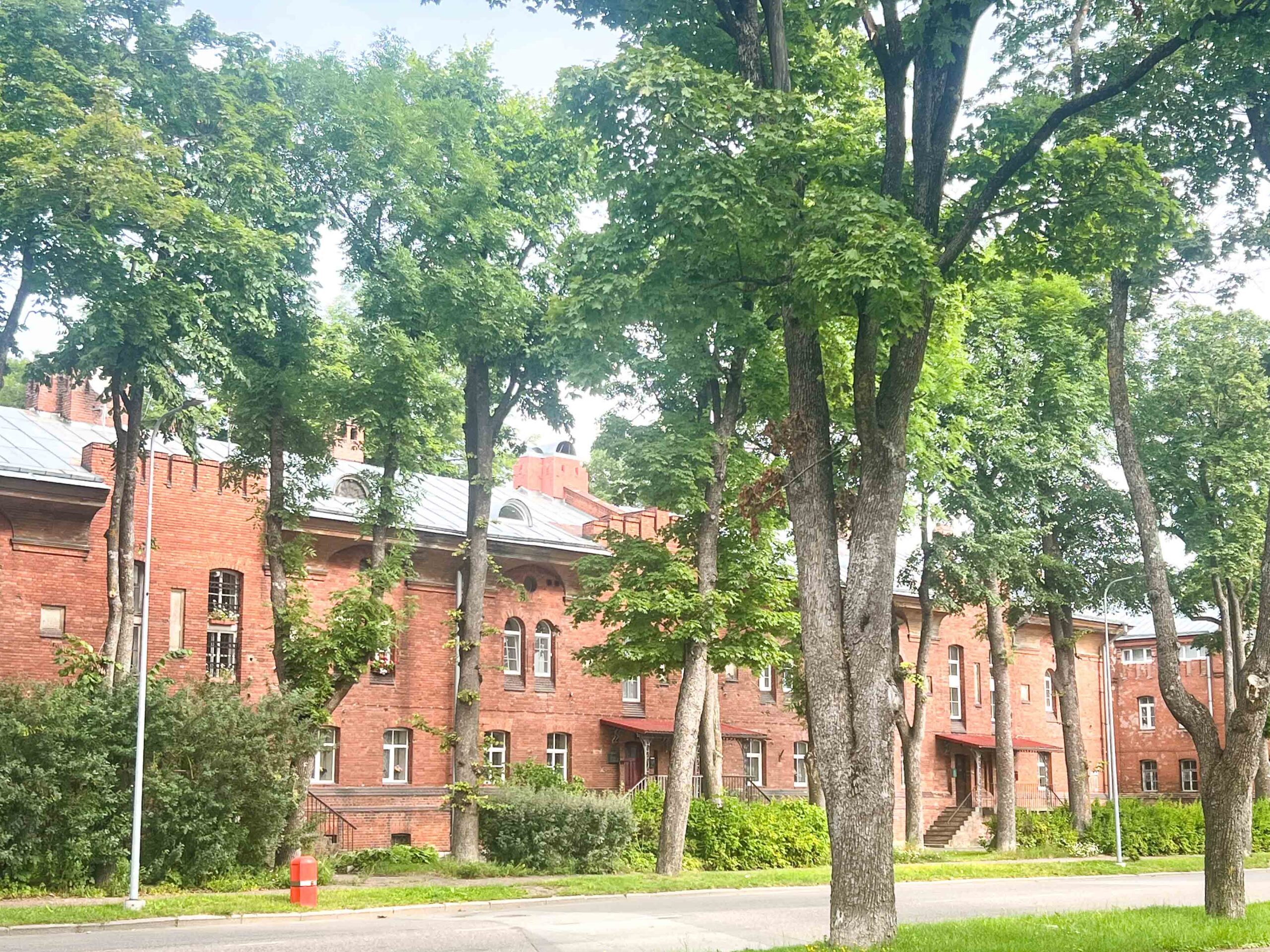 leben pur
