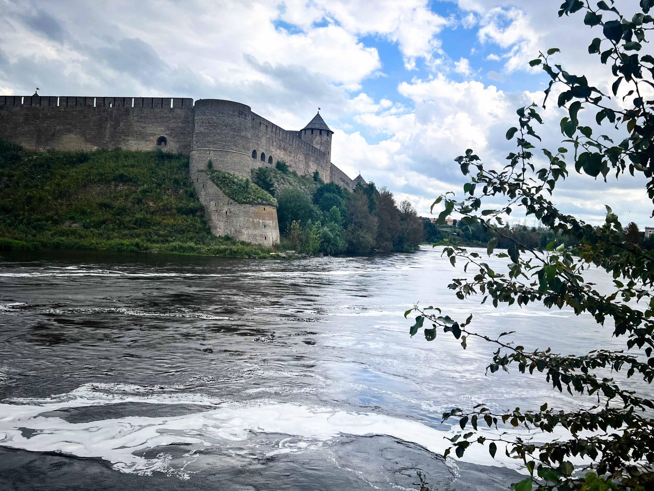 leben pur