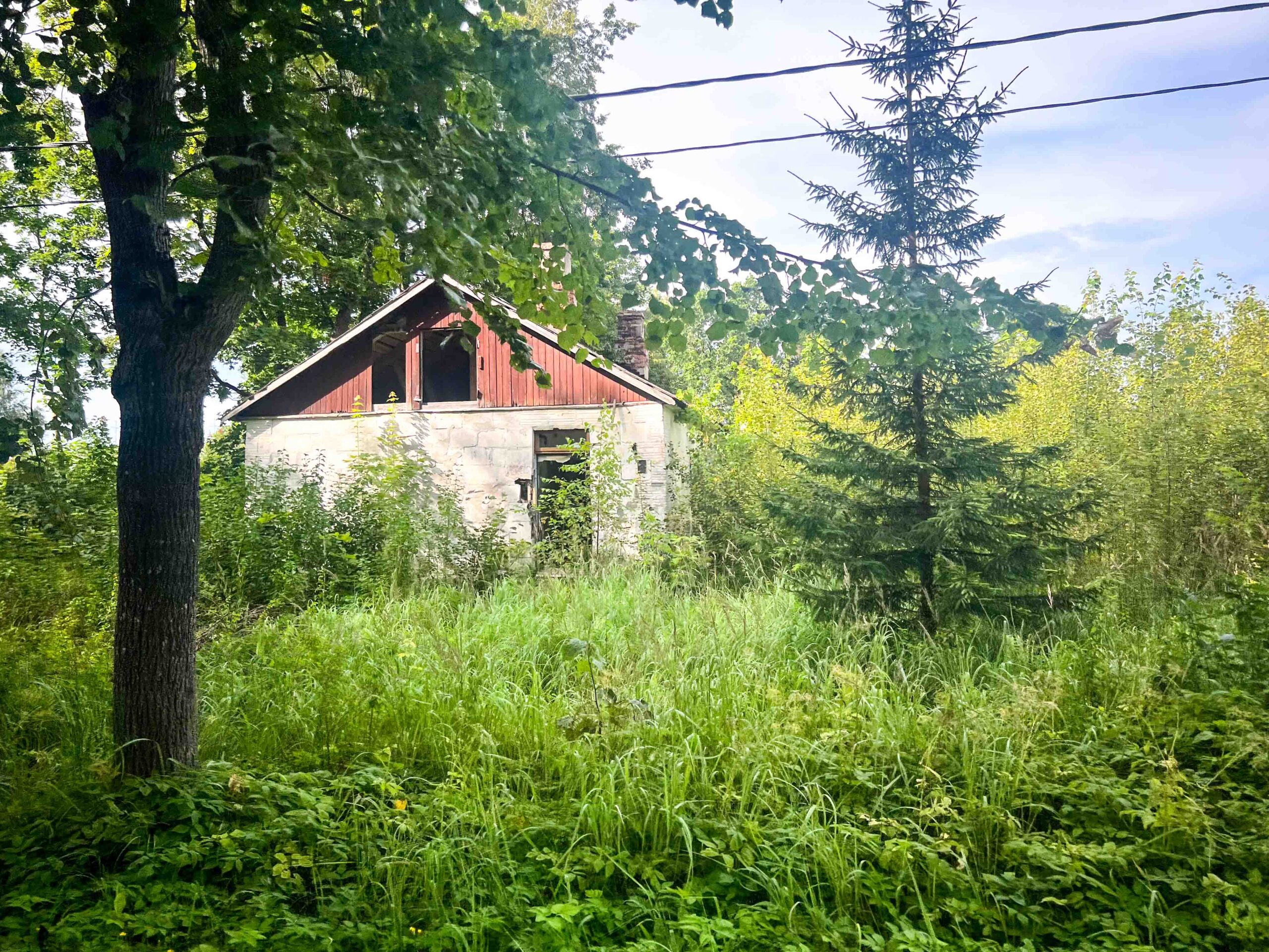 leben pur