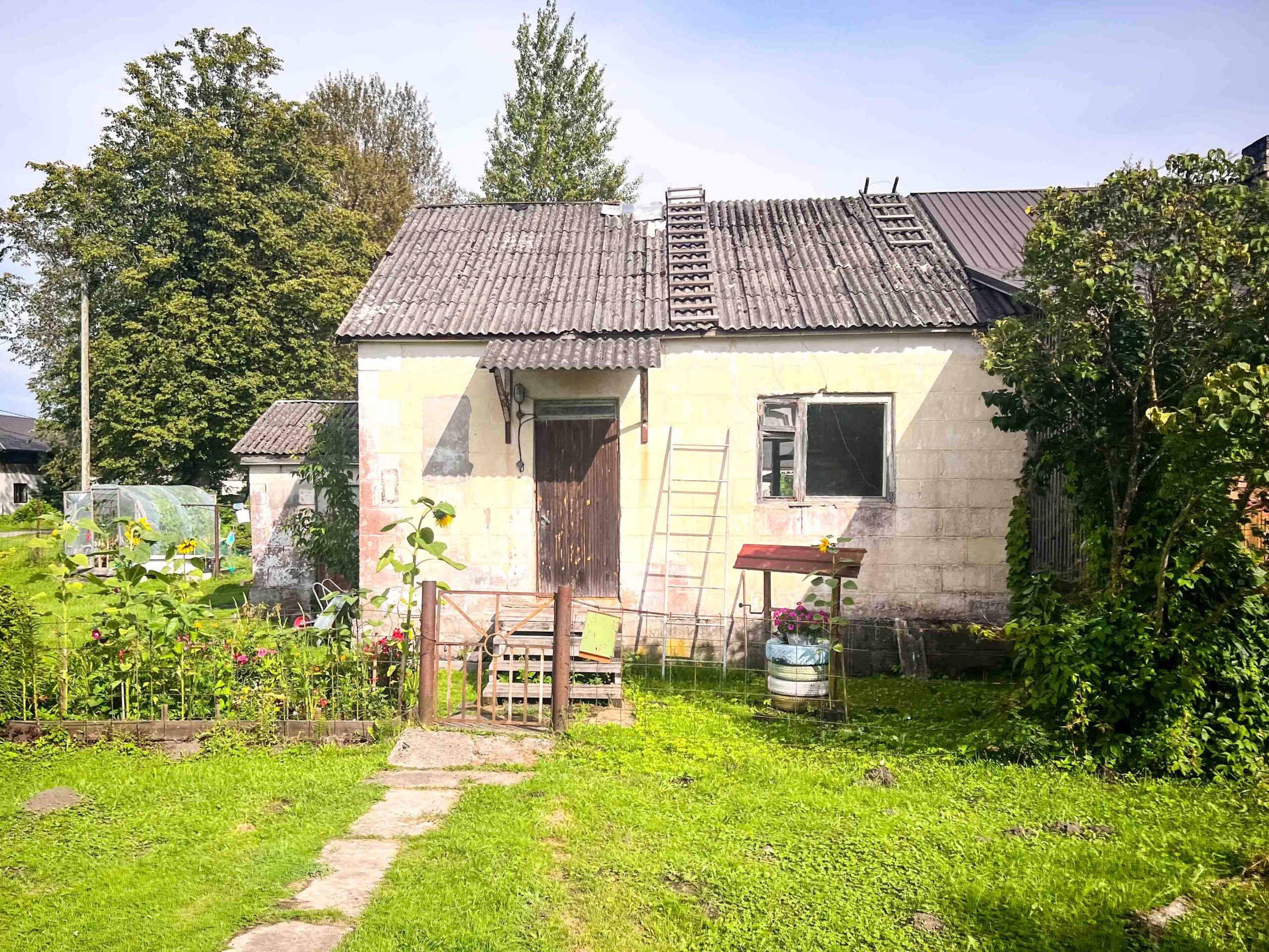 leben pur