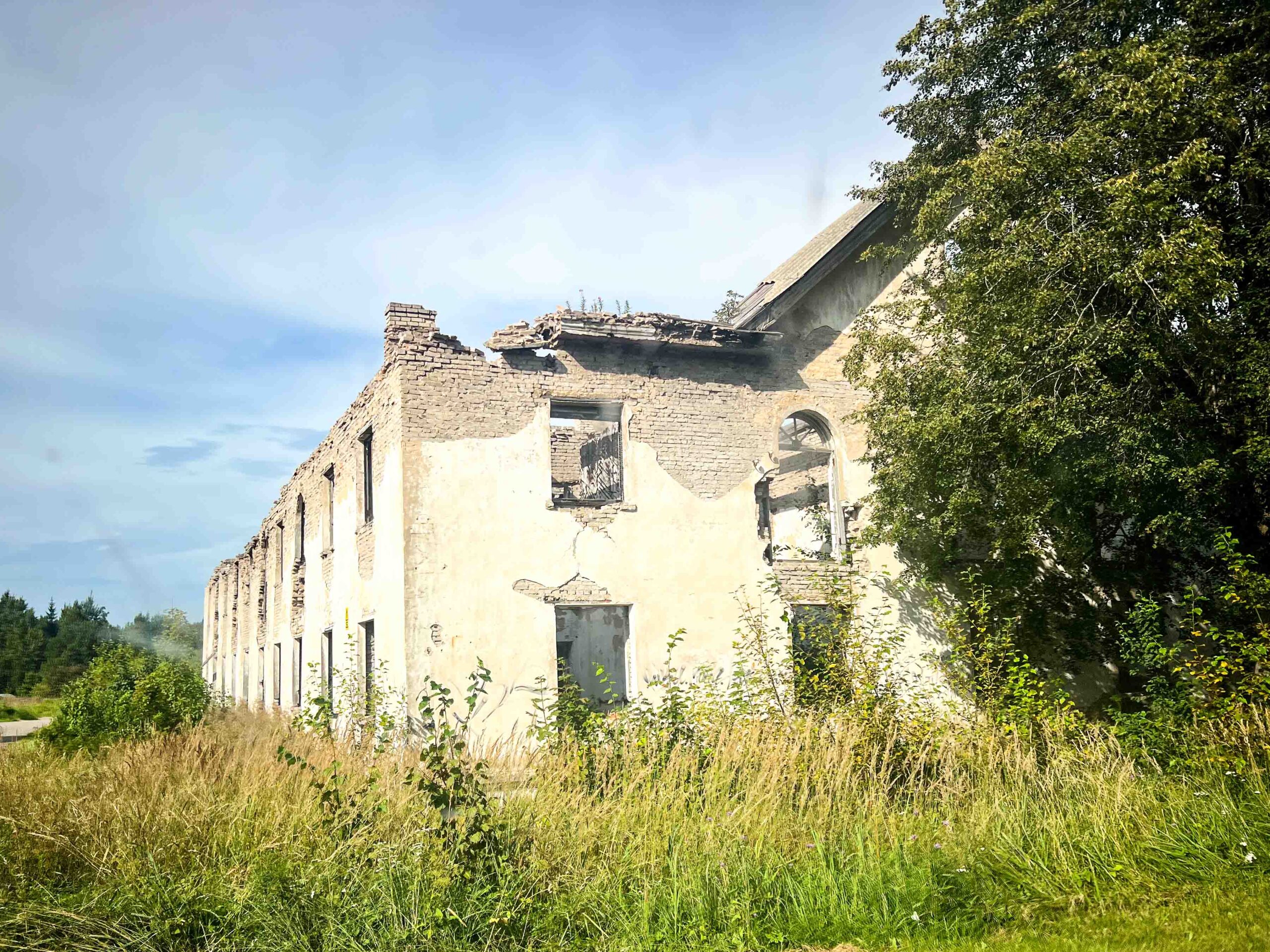leben pur