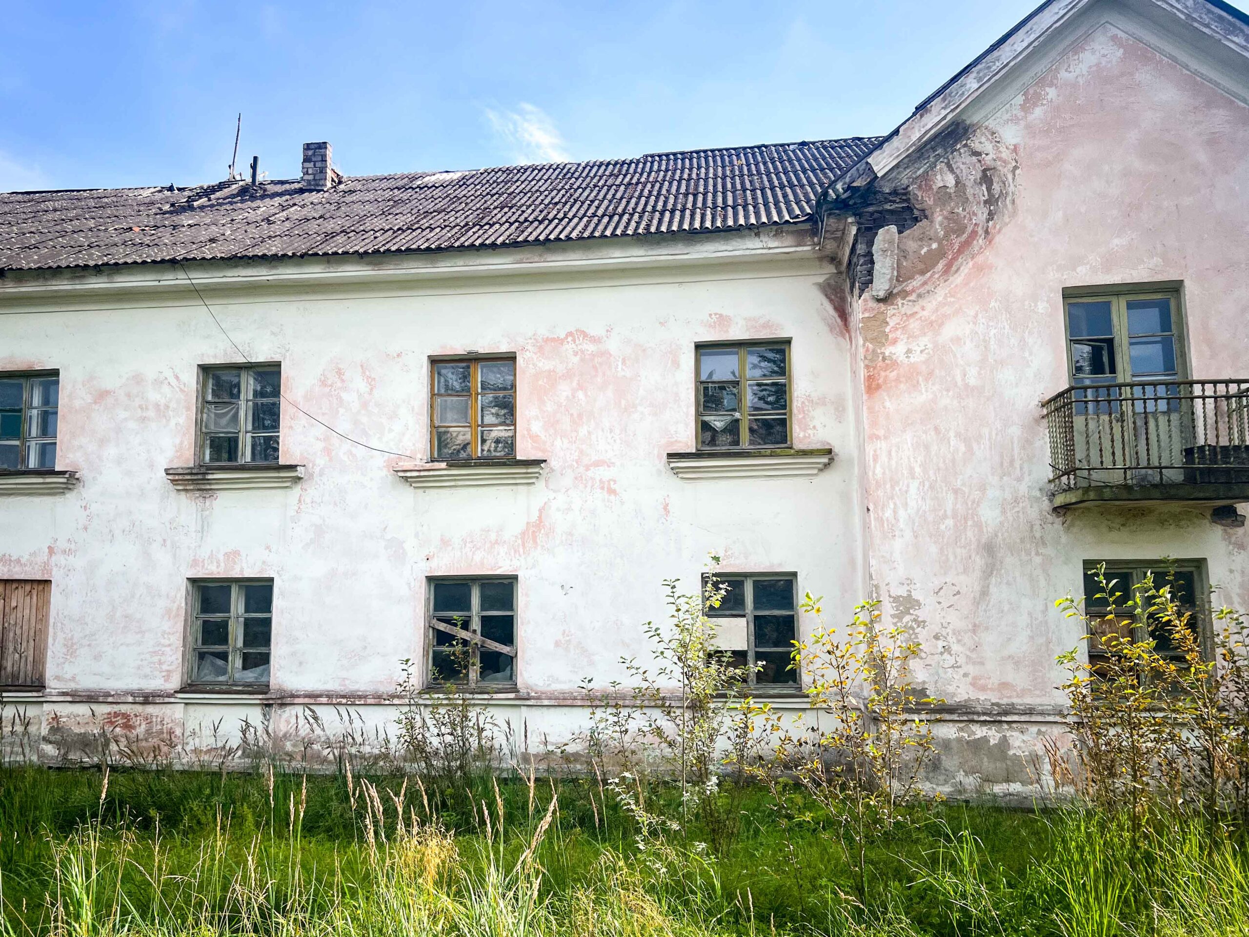 leben pur
