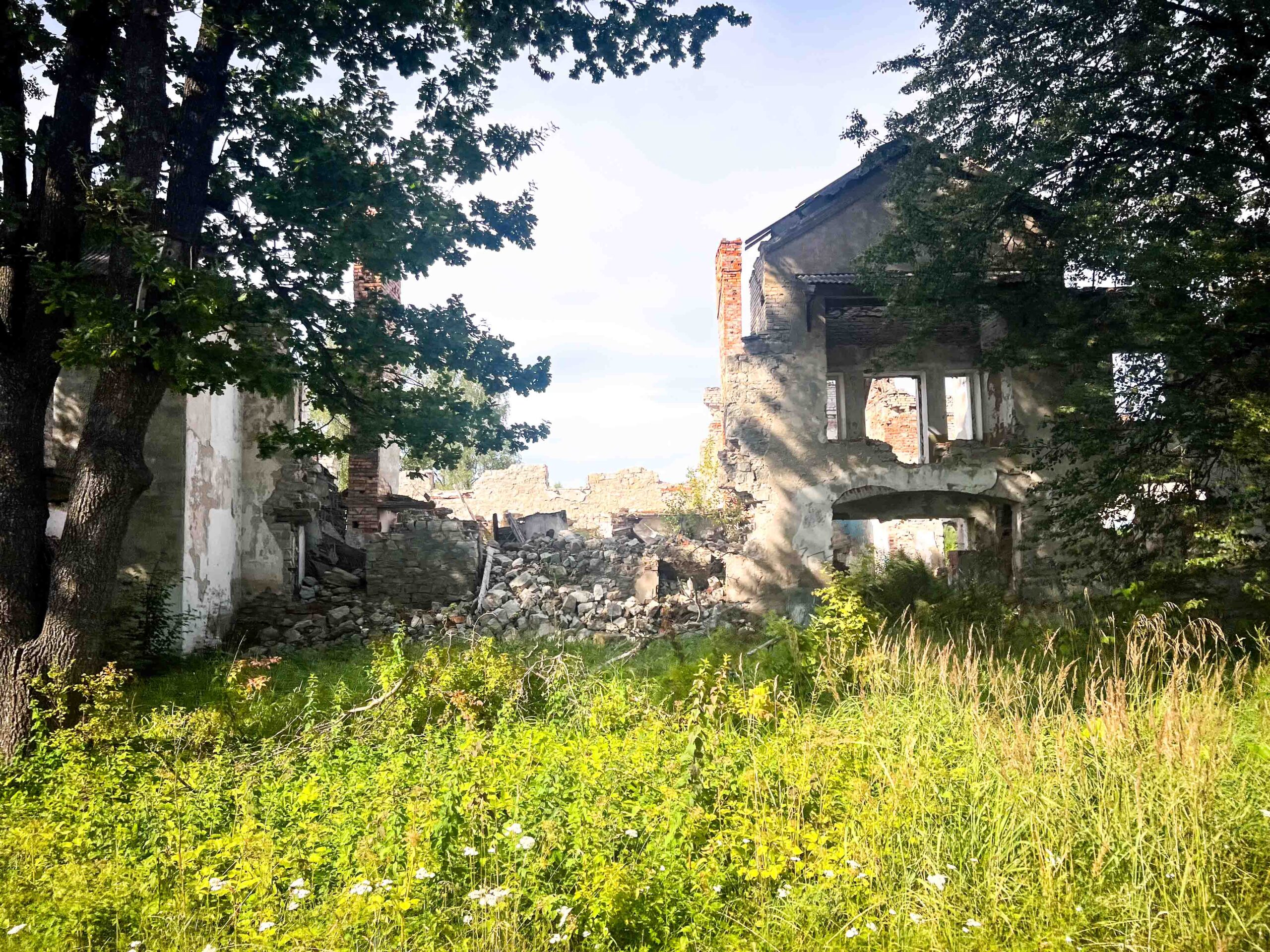 leben pur