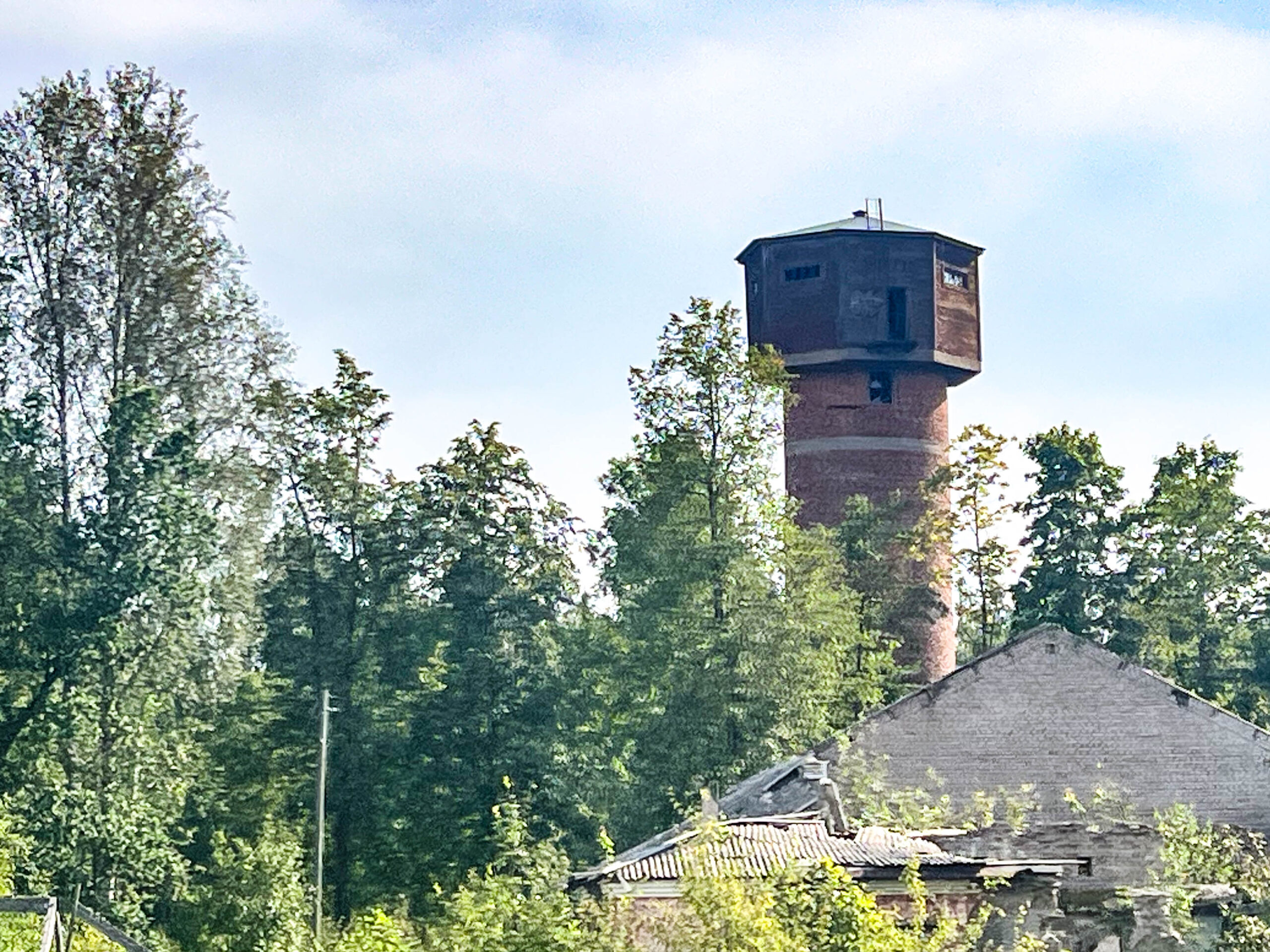 leben pur